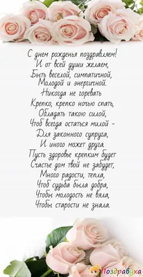 Милые коты друга в природе стоковое фото. изображение насчитывающей  красивейшее - 148337076