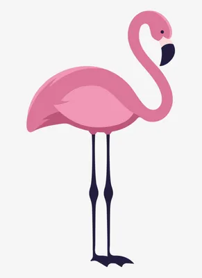 Плюшевая Игрушка Фламинго 90 См Милые Мягкие Игрушки для Девочек Плюшевая  Игрушка Фламинго Розового Цвета — Купить на  ᐉ Удобная Доставка  (1769370401)