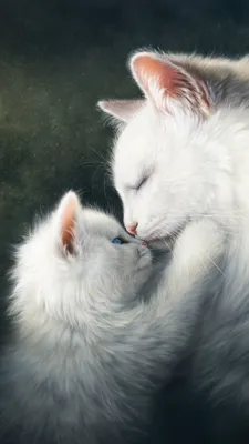 Картинка котенок кот Милые Двое Белый Любовь Животные 1080x1920