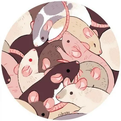 Милые и храбрые. Какой характер у крысы и чем ее задобрить?