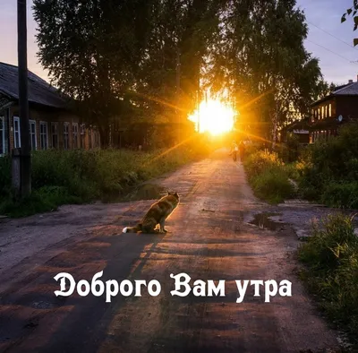 Открытки утро (55 лучших фото)