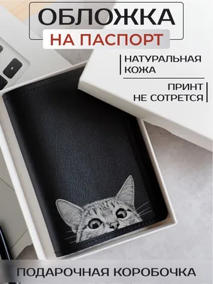 Обои Животные Коты, обои для рабочего стола, фотографии животные, коты,  милые, кошки, котята Обои для рабочего стола, скачать обои картинки  заставки на рабочий стол.