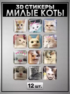 Милые с котами #30