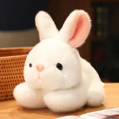 Кроличьи игрушки, милые куклы-кролики, мягкие игрушки в виде животных,  домашний декор, подарок на день рождения – лучшие товары в онлайн-магазине  Джум Гик