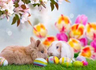 Easter Bunnies. Пасхальные кролики. PNG. в 2023 г | Пасхальные открытки,  Бумажные куклы, Милые рисунки