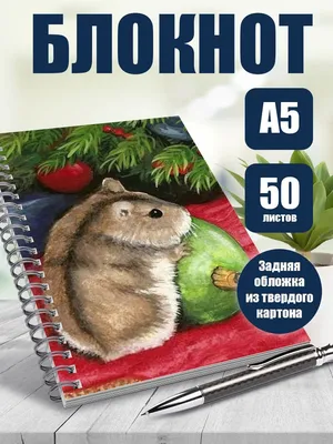 Тетрадь в клетку арт Милые хомячки - купить с доставкой по выгодным ценам в  интернет-магазине OZON (1101110061)