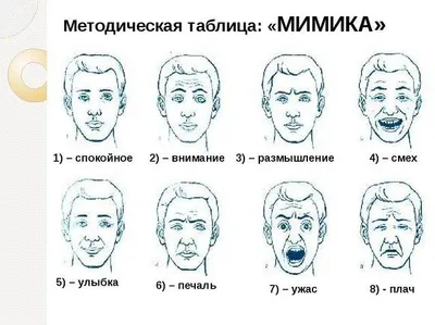 Какая должна быть мимика лица, чтобы рано не появлялись морщины? | Доктор  Голованев | Дзен