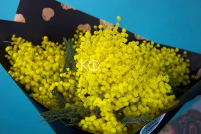 Букет из мимозы и нарциссов - заказать доставку цветов в Москве от Leto  Flowers