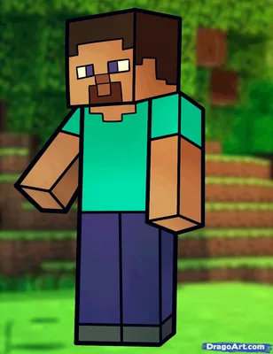 Minecraft | Minecraft steve, How to draw steve, Minecraft characters