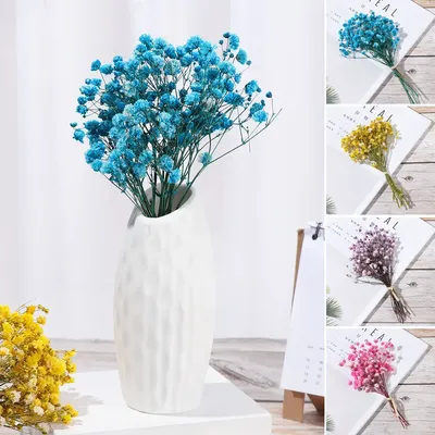 Mini Babysbreath, натуральные свежие ранние цветы, маленькие Натуральные  сушеные цветы, букет сухих цветов, декоративные мини-цветы | AliExpress