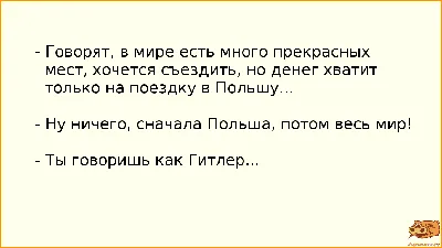 Российские СМИ заявили. Десять политических анекдотов, за которые Минюст  признал «иноагентом» антрополога Александру Архипову