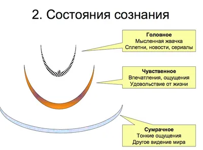 Orbis pictus - Я. А. Коменский. Мир чувственных вещей в картинках. Усадьба