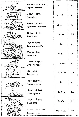 Ян Коменский «Orbis Pictus». Проверьте себя: не монстр ли вы?