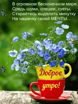 Живи с открытою душой. Всё в этом мире в Божьей власти... Когда душа - как  мир большой В неё быстрей приходи… | Жизненные цитаты, Ежедневная  мотивация, Мотивация