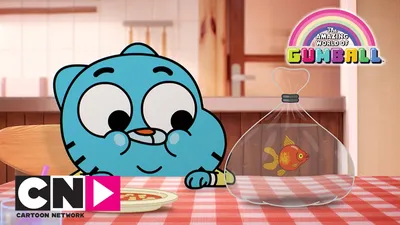 Удивительный мир Гамбола» (The Amazing World of Gumball, komediya, qisqa  metrajli, multfilmlar, sarguzashtlar, oilaviy, fentezi, aqsh, buyuk  britaniya, fransiya, germaniya, irlandiya, yaponiya, 2011) |  -  TAS-IXda televideniye, kino va seriallar eng