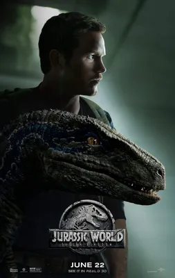 Постер фильма Мир Юрского периода 2 | New jurassic world, Jurassic world  movie, Jurassic world dinosaurs