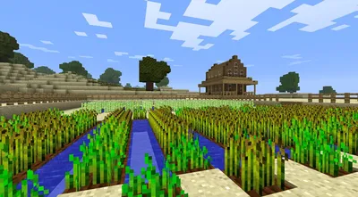 Стример потратил пять лет и выкопал весь игровой мир Minecraft