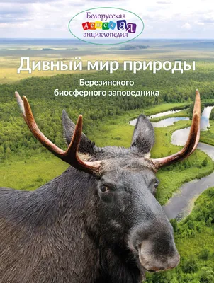 Купить книгу А.Н. Рыжкова “Дивный мир природы Березинского биосферного  заповедника” в Минске - 