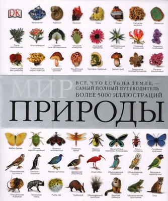 Издательство "Детство-Пресс" | Мир природы. Животные. Интегрированные  занятия для обучения дошкольников рассказыванию по картине. 3-7 лет. Выпуск  1. ФОП. ФГОС.