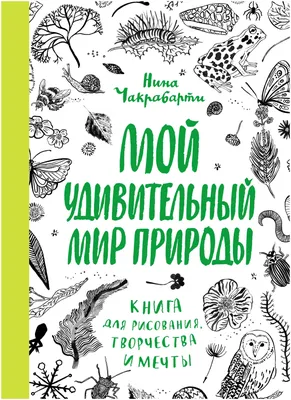 Путешествие в мир природы Беларуси И. Бышнев - купить книгу Путешествие в мир  природы Беларуси в Минске — Издательство Беларусь на 