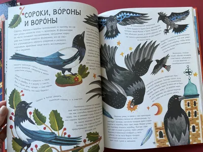 Книга "Мир природы. Самый увлекательный путеводитель по живой и неживой  природе" - купить книгу в интернет-магазине «Москва» ISBN:  978-5-271-37042-7, 601380