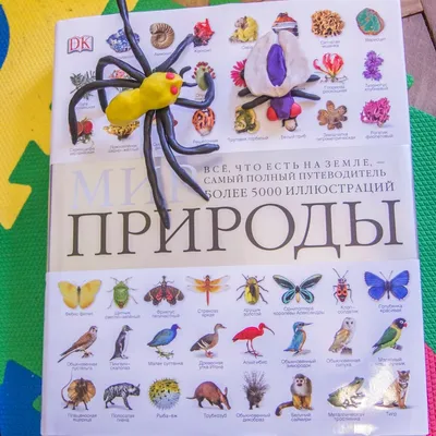 Цветущий мир природы» картина Самохвалова Александра маслом на холсте —  купить на 