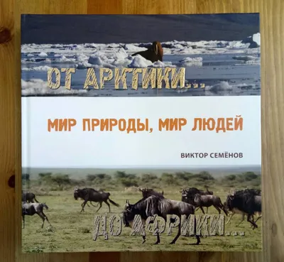 Задания для домашнего обучения по теме "Мир природы (Насекомые)" |  Образовательная социальная сеть