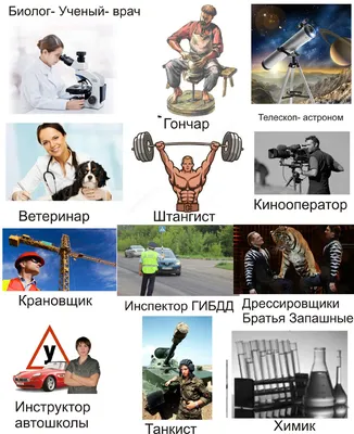 Мир профессий» -