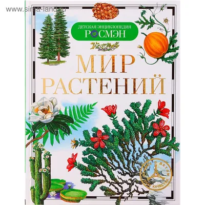 Мир Растений» 🌳 Питомник и садовый центр в Новой Быковке