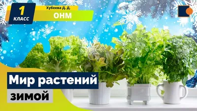 Мир Растений Искусственная новогодняя елка 120 см заснеженная из ПЭ