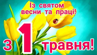 Мир! Труд! Шашлык! - прикольные открытки и поздравления с 1 мая - 