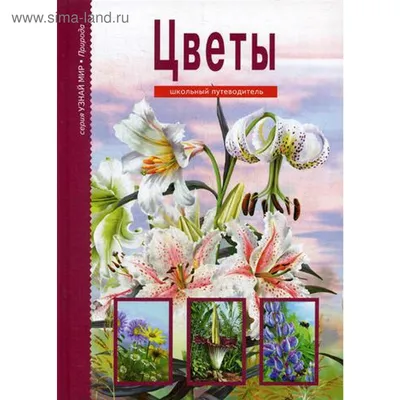 Растение в горшке Мир Цветов Цикламен (23 см) - 