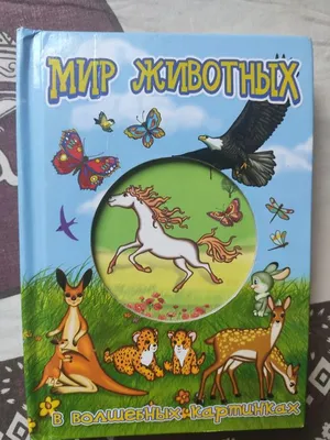 Иллюстрация 10 из 16 для Мир животных в волшебных картинках - Л. Жукова |  Лабиринт - книги. Источник: