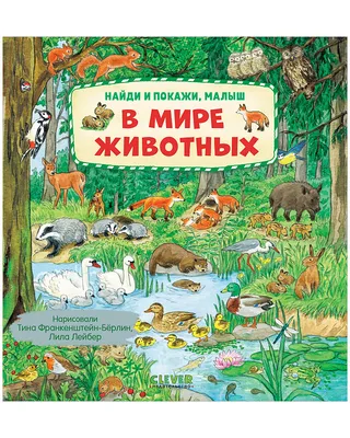 Лэпбук «Мир животных» (12 фото). Воспитателям детских садов, школьным  учителям и педагогам - Маам.ру