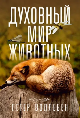 Книга "Яркий мир животных" - Балле | Купить в США – Книжка US