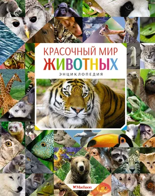 36 фактов из мира животных | Пикабу