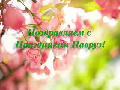 Юлия Сапронова on X: "БЛАГОСЛОВЕННОГО ВАМ ВЕЧЕРА! МИРА ДОБРА СЧАСТЬЯ И  БЛАГОПОЛУЧИЯ ВАШИМ РОДНЫМ И БЛИЗКИМ! /MjaypR96n3" / X
