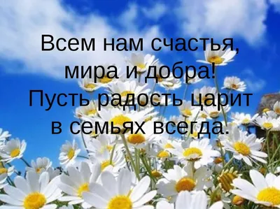 Счастья, мира, добра всем! | Музыкальные Открытки Бесплатно | Музыкальные  Открытки БЕСПЛАТНО | Постила