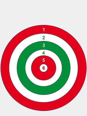 Мишень для стрельбы ВСУ, фигура поясная с кругами и зонами, ,  формат А1, размер 594х841мм: продажа, цена в Черкасской области. Мини-тиры,  мишени для стрельбы от ""КАНЕВАРХДИЗАЙН" ЧАСТНОЕ ПРЕДПРИЯТИЕ" - 1620167324