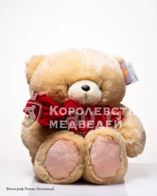 Мягкая игрушка мишка hallmark only at — цена 72 грн в каталоге Мягкие  игрушки ✓ Купить детские товары по доступной цене на Шафе | Украина  #121730682