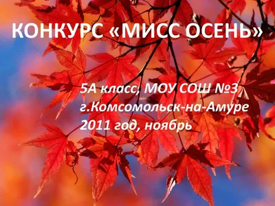 Мисс Осень!» 2021, Абзелиловский район — дата и место проведения, программа  мероприятия.