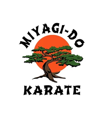 Miyagi-Do Karate Gi – Century Martial Arts