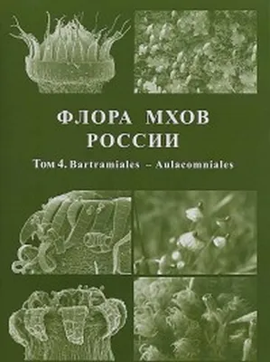 Флора мхов России. Том 4 / ISBN 978-5-9500829-9-3