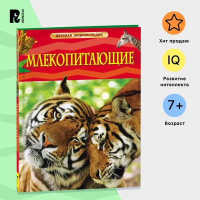 Строение глаза млекопитающих животных – тема научной статьи по ветеринарным  наукам читайте бесплатно текст научно-исследовательской работы в  электронной библиотеке КиберЛенинка