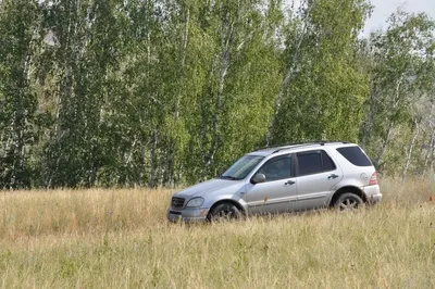 это начало 2.5 дня. На рисунке - просто дал Вова ноут - не скучать (позже -  о том, как я у Вовы оказалась) - и пальцы вспомнили что-то... | Впереди  Столько Всего | Дзен