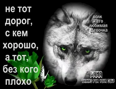 Открытка 1993 г. Кот Денди 003 Мне без тебя грустно 1993 МЕ двойная  подписана - купить на  (цена 55 руб.)