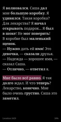 Мне очень грустно“. Недавно снятая с должности мэра Нарвы Катри Райк  скорбит по брату - Бублик