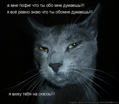 Мне Пофиг - Мне Пофиг added a new photo.