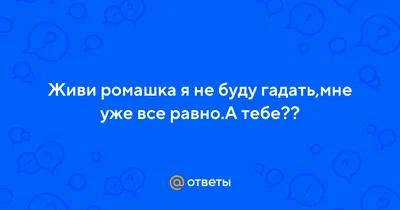 Новостная лента