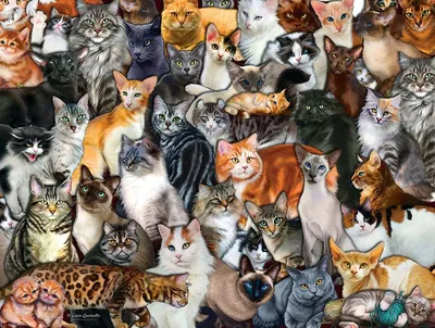 Картинки котята (60 фото)